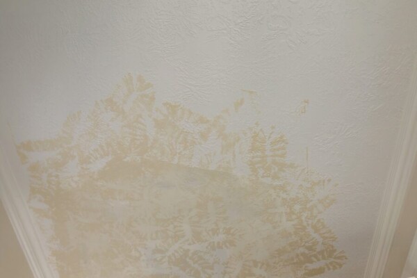 Close up image of drywall